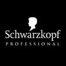 ՇՎԱՐՑԿՈՊՖ ՊՐՈՖԵՍԻՈՆԱԼ ՀԱՅԱՍՏԱՆ