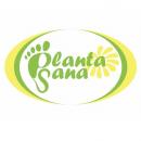 Պլանտա Սանա